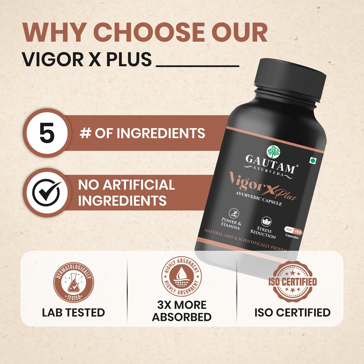 Vigor X Plus