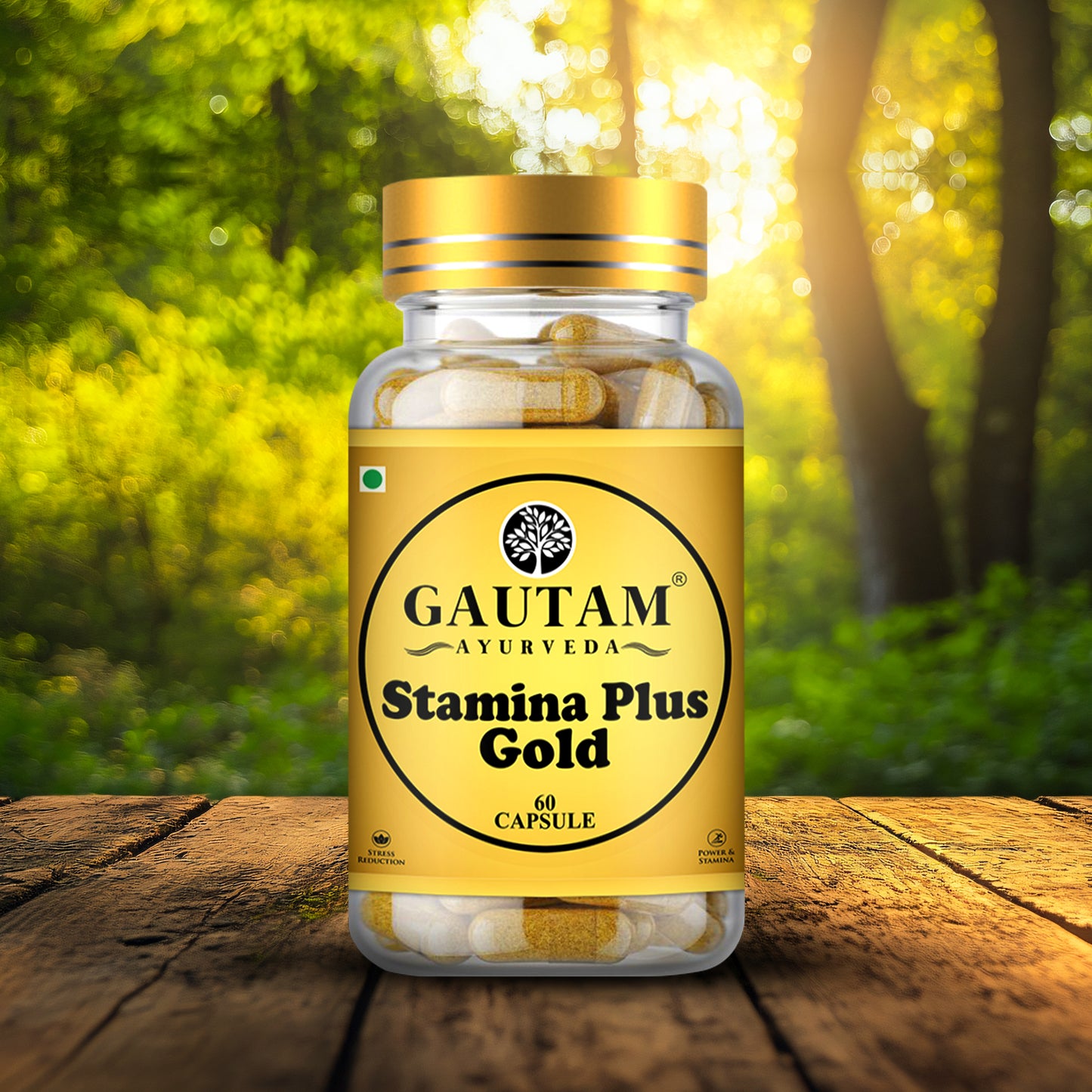 Stamina Plus Gold