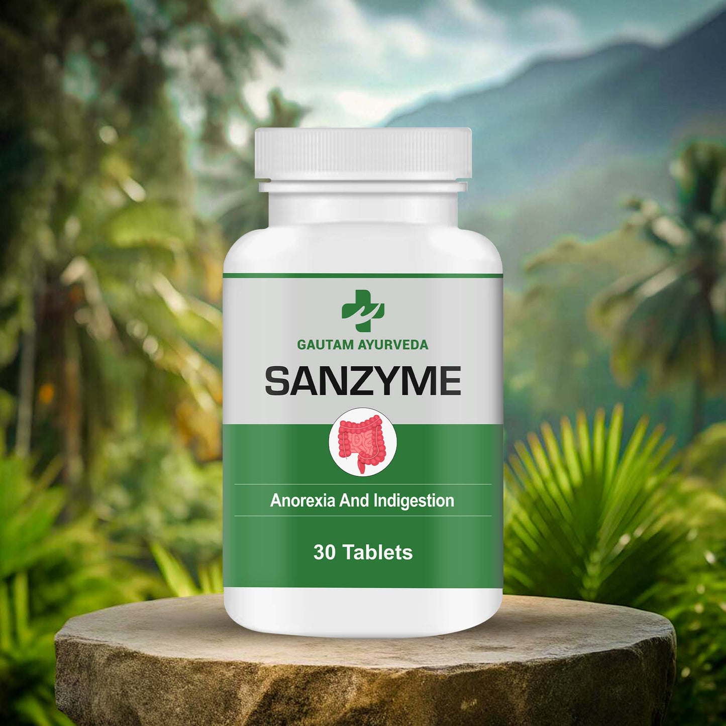 Sanzyme Capsules | Digestive & Daily Wellness Support
