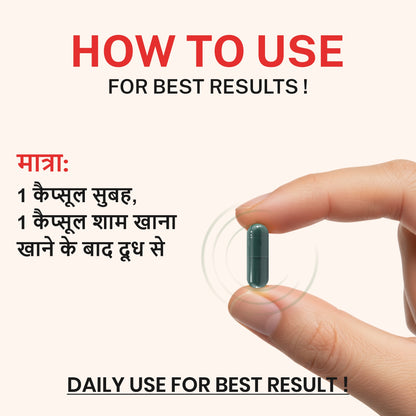 Shilajit Capsules | Daily Energy & Wellness Support