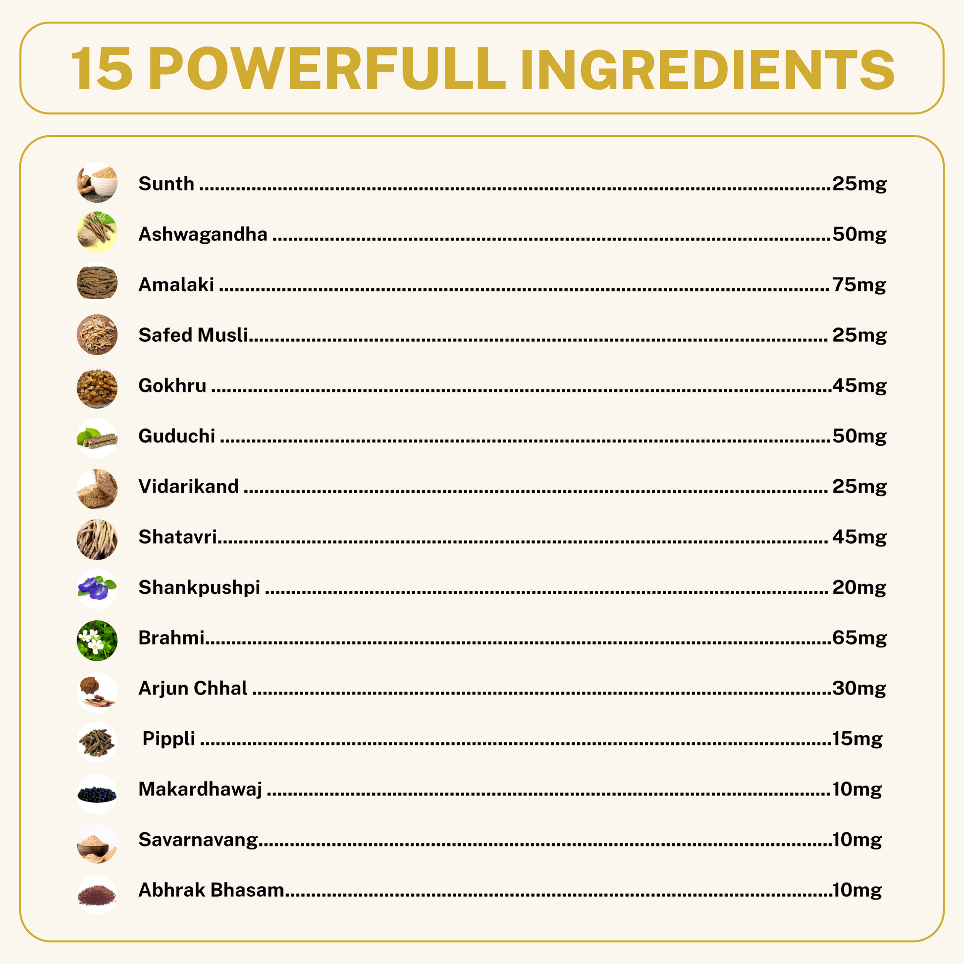 Vigon Capsules | Men's Vitality & Wellness Support