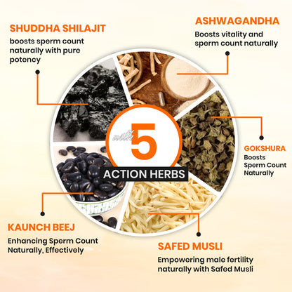 Erectile Dysfunction Package – Ayurvedic Solution for Early-Stage ED