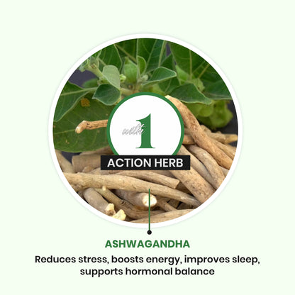 Ashwagandha Capsules | Daily Energy & Wellness Support