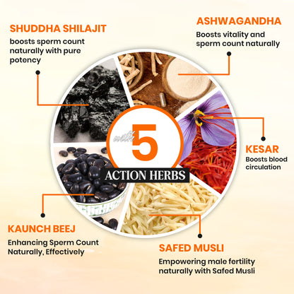 Chronic Erectile Dysfunction Ayurvedic Treatment Package