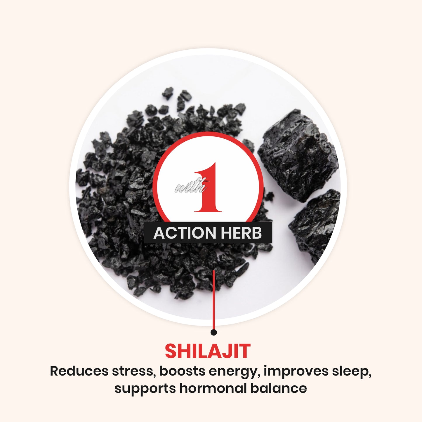 Shilajit Capsules | Daily Energy & Wellness Support