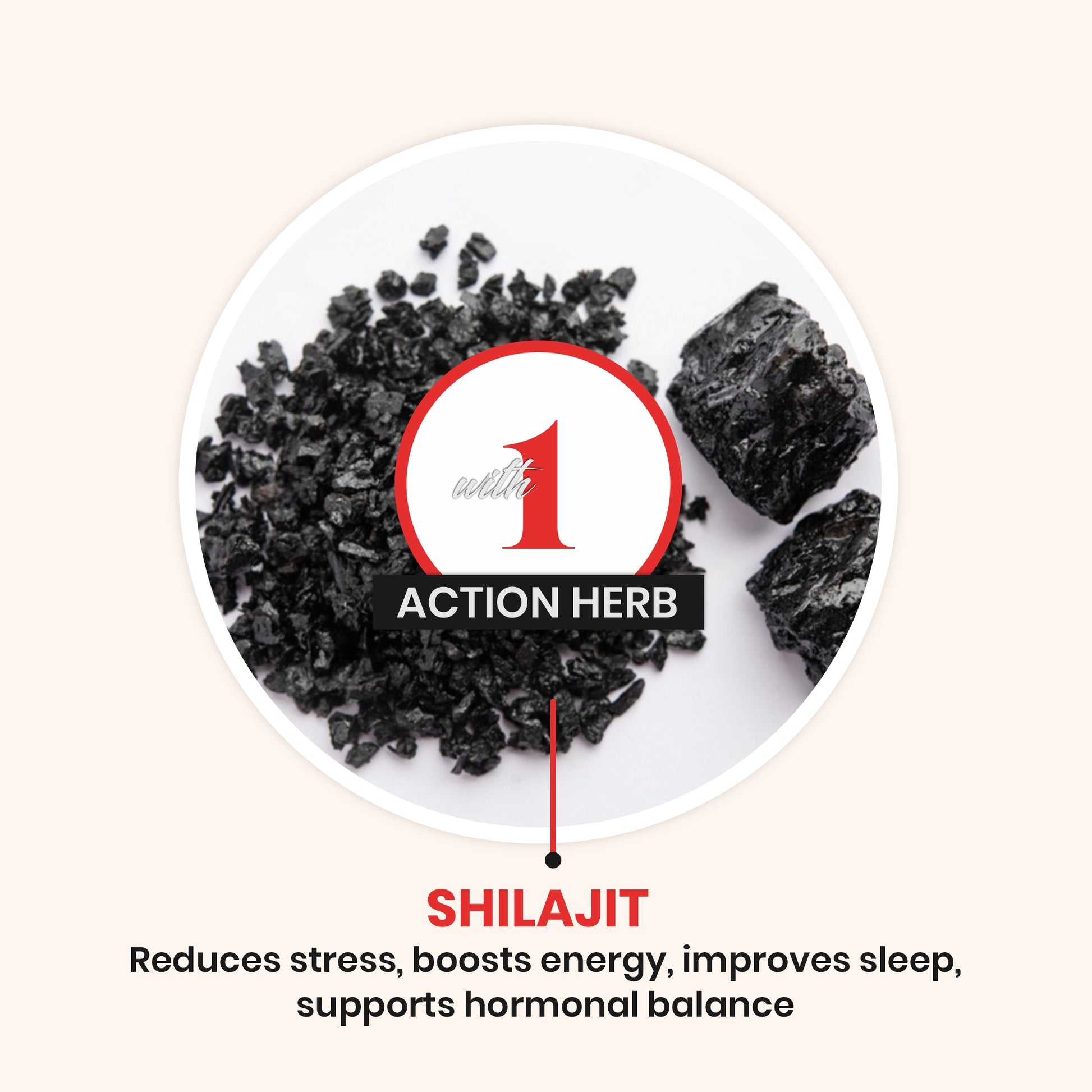 Shilajit Capsules | Daily Energy & Wellness Support
