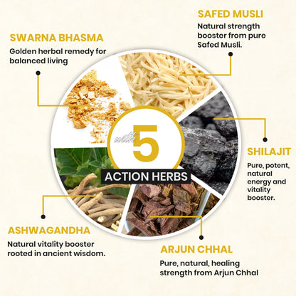 Shilajit Gold