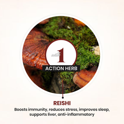 Reishi
