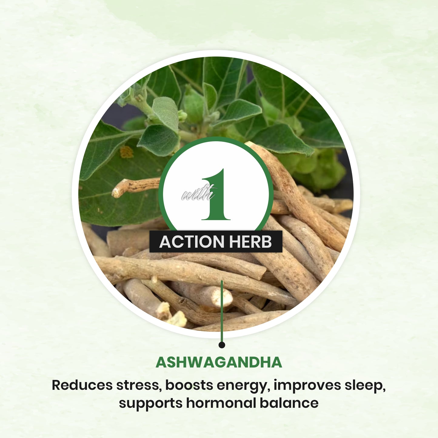 Ashwagandha