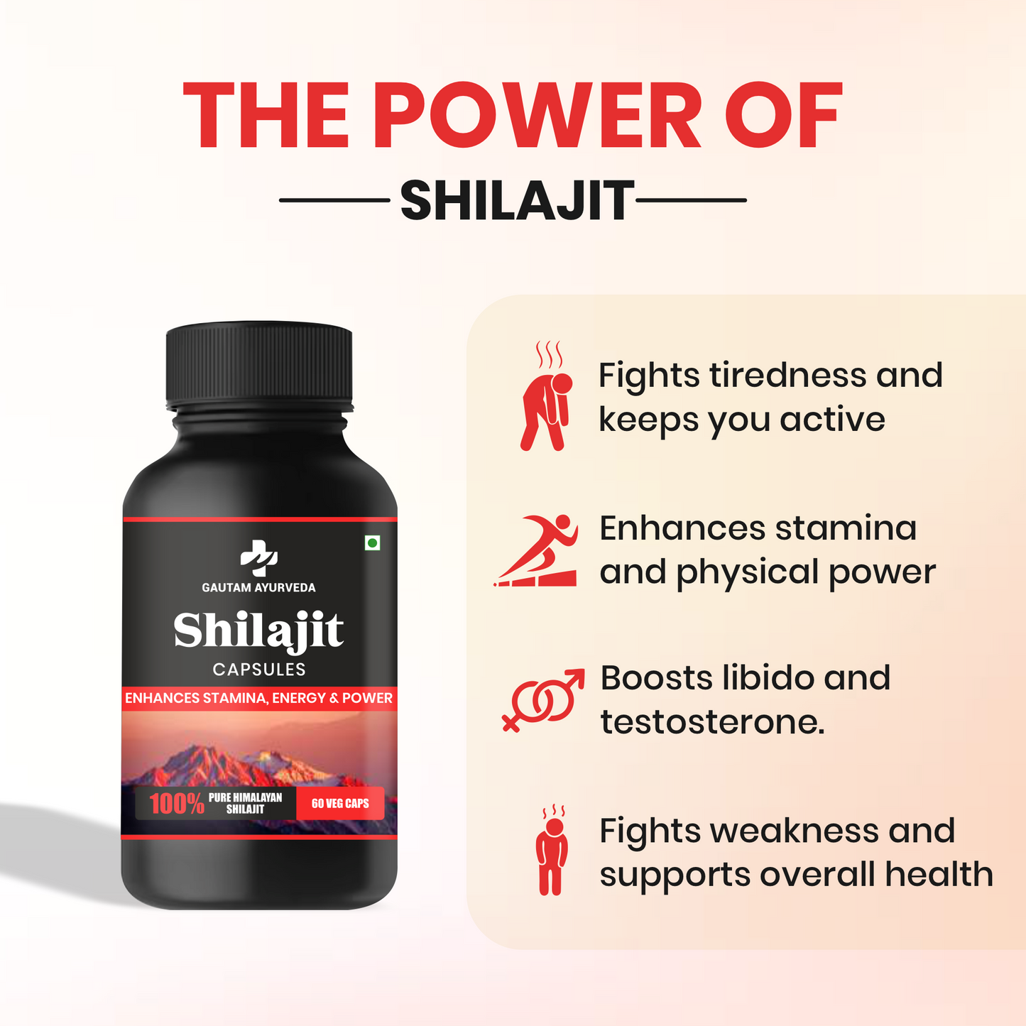 Shilajit Capsules | Daily Energy & Wellness Support