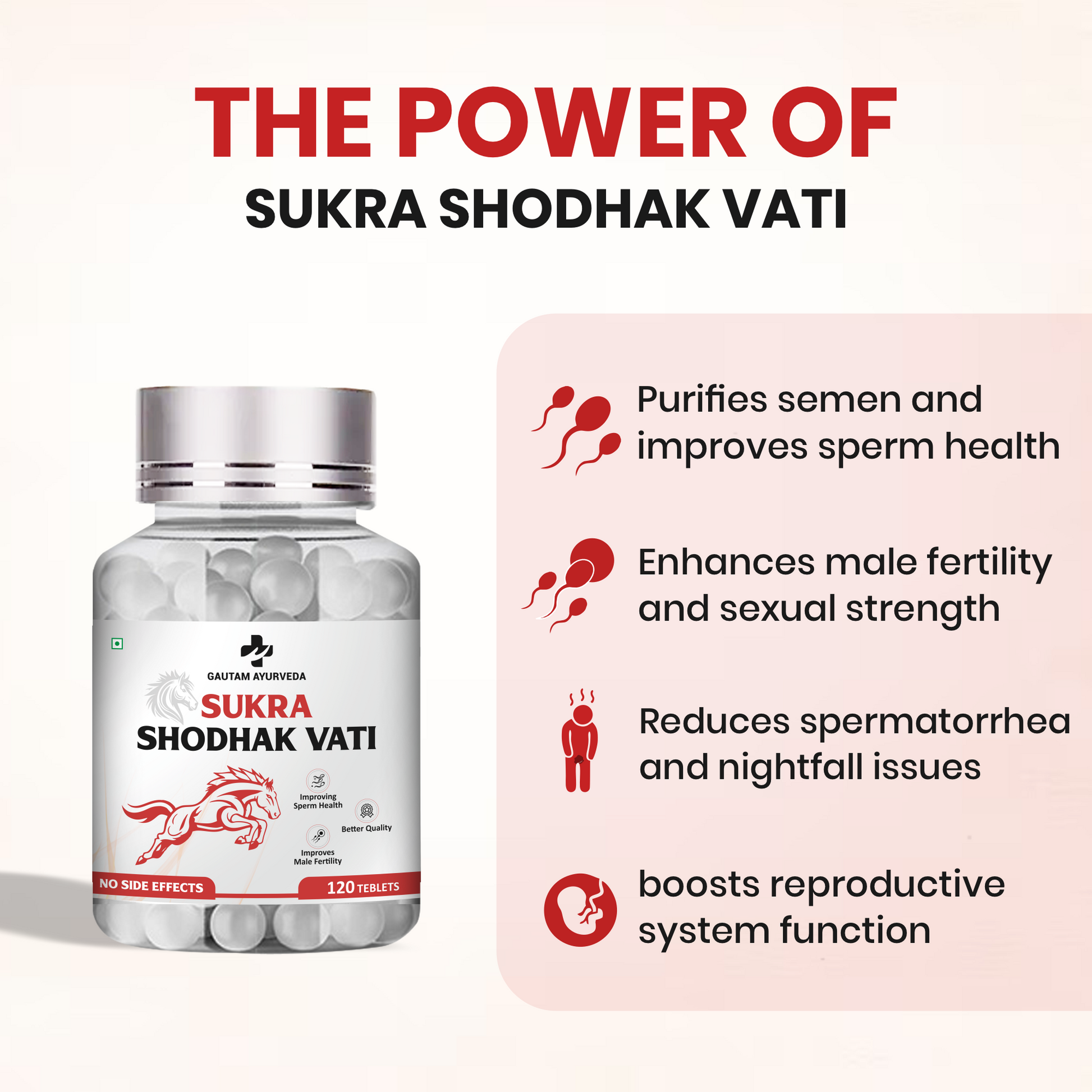 Sukra Shodak Vati Capsules | Men's Daily Wellness Support
