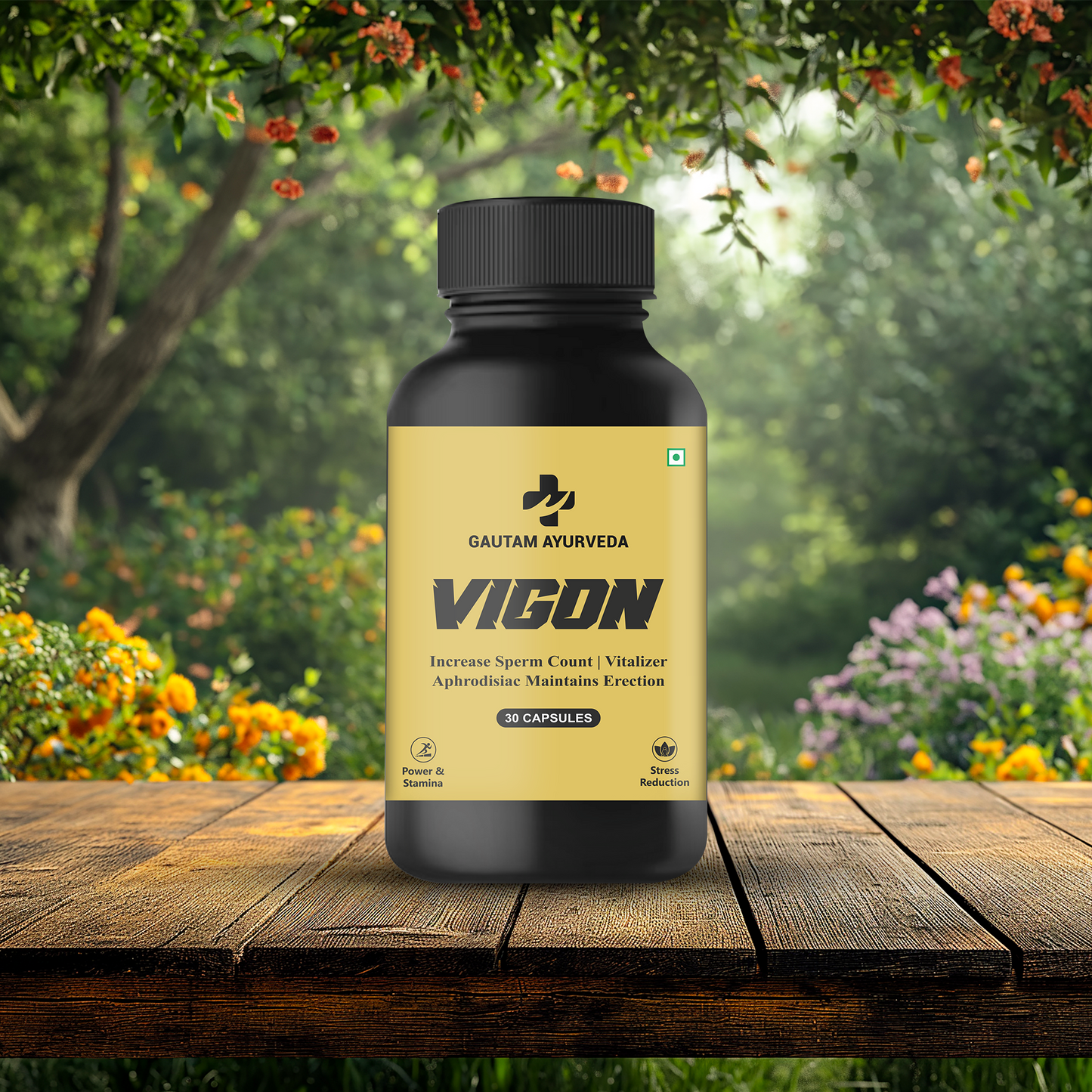 Vigon Capsules | Men's Vitality & Wellness Support