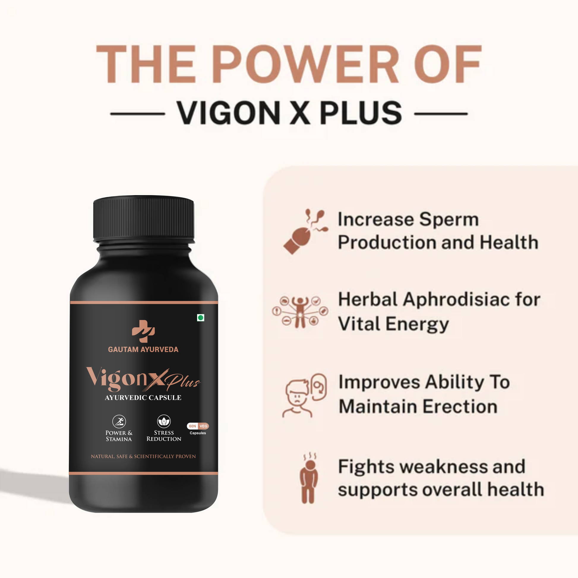 Vigon X Plus Capsules | Men's Daily Wellness Support